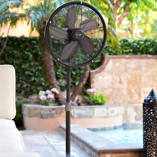 NewAir 55.9" Oscillating Standing Fan & Reviews Wayfair